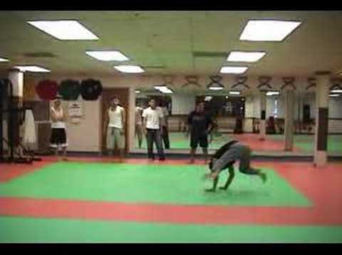 Training Sampler (July 5-6, 2004)