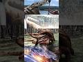 Las Derrotas De Cocodrilo Top Peliculas Cine Curiosidades