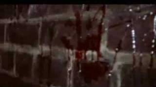 Glass Casket In Between The Sheets