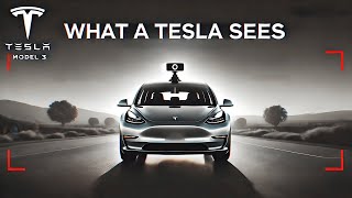 The Camera System That Runs Tesla FSD