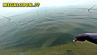 Download lagu Badan Gemetar Saat Tiba-tiba Hiu Sebesar Mobil Lewat di Depan Mata mp3