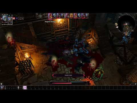 Divinity OS 2(DE) - Solo Honor Run(Summoner/Necro) - Houndmaster