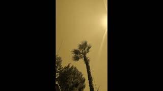 Lana Del Rey - patent leather do-over