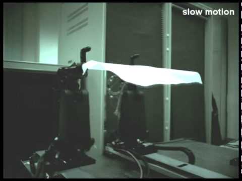 Every House Should Come Equipped With A Towel-Folding Robot