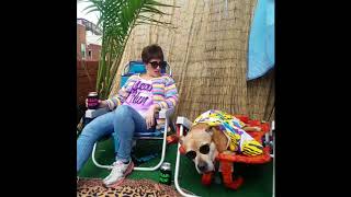 WAITIN FOR DA DAWG DAYS OF SUMMER!