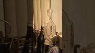 Wine In Tha' Makin' | Air Lock | Grow with Renee 144 #leadfarmer73