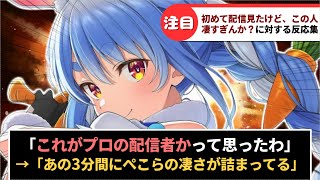 「兎田ぺこらとかいうVTuber凄すぎんか？」に対するホロリスたちの反応集【ホロライブ】