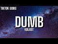 Kblast - Dumb (Tiktok Song) 