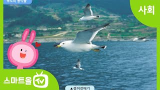 [6학년ㅣ사회] 우리 땅 독도 알아보기 (2)ㅣ6학년 2학기/2. 통일 한국의 미래와 지구촌의 평화/2-1. 한반도의 미래와 통일