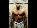 DMX-Dogs Out 