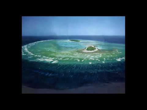 To see the sea di Francesco Nicastro