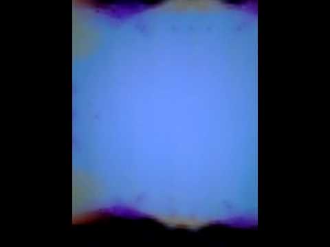 DM ft Lexx Otha Girls