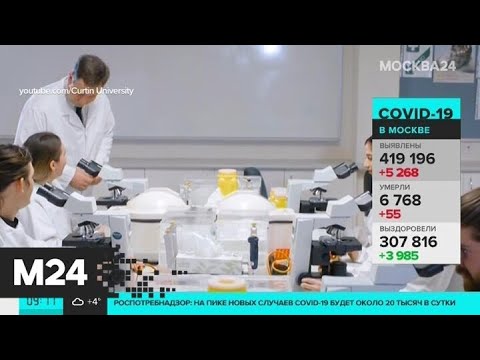 Эксперты рассказали, когда закончится пандемия коронавируса - Москва 24