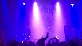 Cobwebs in my attic Live