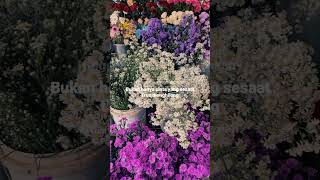 Download lagu Keabadian - Reza Artamevia 🍂 mp3