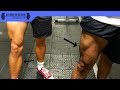 BUILDING MASSIVE LEGS | GET WHAM OR DIE TRYIN'