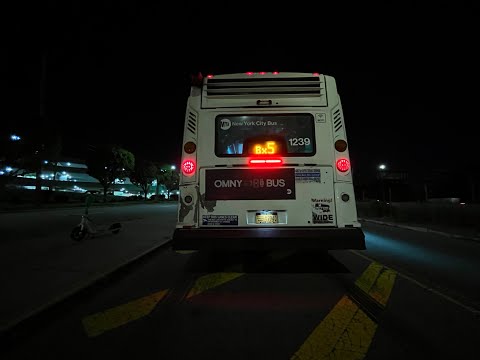 MTA New York City Bus 2010 Nova Bus LFS Articulated #1239