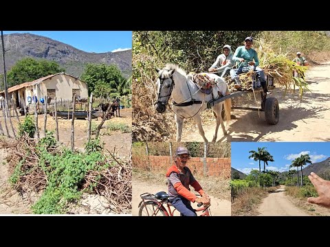 A 2° P, O SERTÃO E O QUE TEM NELÉ, MUCAMBO ÁREA RURAL DE ITAPIPOCA CEARÁ 