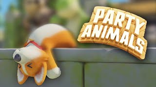 殴る×蹴る×撃つ‼︎どうぶつの森【Party Animals】