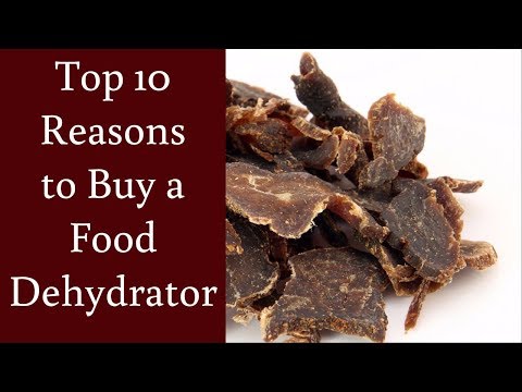 download lagu mp3 mp4 What Does A Dehydrator Do, download lagu What Does A Dehydrator Do gratis, unduh video klip What Does A Dehydrator Do