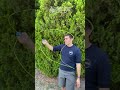 ZipString. The next hula hoop, jump rope, and fidget spinner.