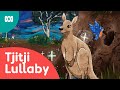 Singing Baby Animals To Sleep | Tjitji Lullaby | ABC Kids