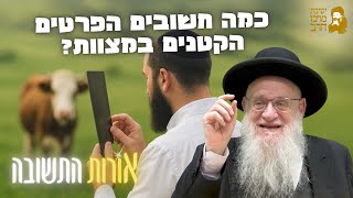 הרב יהושע מגנס | אורות התשובה | חשיבות הפרטים הקטנים | י''ד תמוז תשפ"ה | ישיבת מרכז הרב (ישיבת מרכז הרב) - התמונה מוצגת ישירות מתוך אתר האינטרנט יוטיוב. זכויות היוצרים בתמונה שייכות ליוצרה. קישור קרדיט למקור התוכן נמצא בתוך דף הסרטון הרב יהושע מגנס | אורות התשובה | חשיבות הפרטים הקטנים | י''ד תמוז תשפ"ה | ישיבת מרכז הרב (ישיבת מרכז הרב) - התמונה מוצגת ישירות מתוך אתר האינטרנט יוטיוב. זכויות היוצרים בתמונה שייכות ליוצרה. קישור קרדיט למקור התוכן נמצא בתוך דף הסרטון