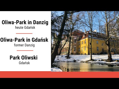 Oliwa-Park, Palmenhaus, Äbtepalast, Kathedrale von Oliwa, Kirche St. Jakob in Danzig im Winter