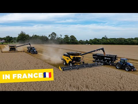 New Holland CR11 & CR10 | 5 combines in action! | Performance Tour 2024