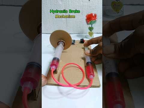 Hydraulic Break Mechanism • Dc Motor | #hydraulic #science #mechanism #youtubeshorts
