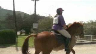 Download lagu Cyprus horse show sees a resounding win for Episkopi Saddle Club 08.03.11 mp3 Download lagu Cyprus horse show sees a resounding win for Episkopi Saddle Club 08.03.11 mp3