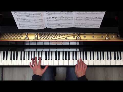 Summer's Nocturne Catherine Rollin