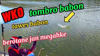 Download lagu WKO terbaru umpan pelet tombro babon dan tawes babon mp3
