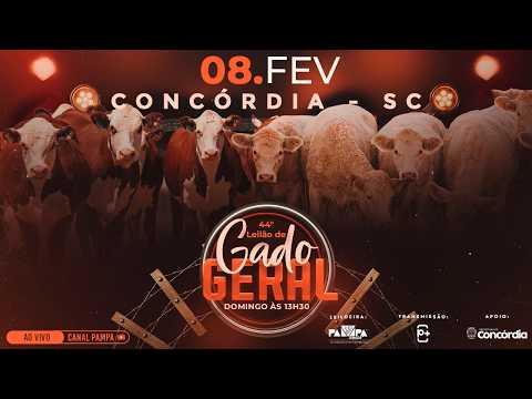 44° Leilão de Gado Geral, CONCÓRDIA/SC - 08/02/2026 13:30h