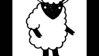 2015/5/19 　FLiPLiPS 　geek sleep sheep