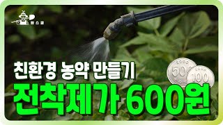 ✔단돈 600원으로 친환경 전착제 만들어서 쓰기 ㅣ 꼭 써야만 하는 이유 ㅣ조영상