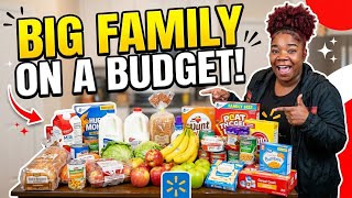 BIG FAMILY, SMALL BUDGET: MASSIVE WALMART GROCERY HAUL & MEAL IDEAS
