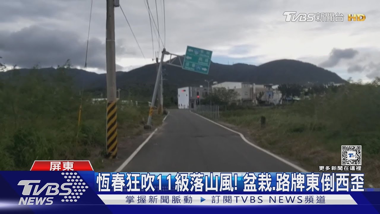 老榕樹也擋不住!11級落山風強度 已逼近「中颱」門檻