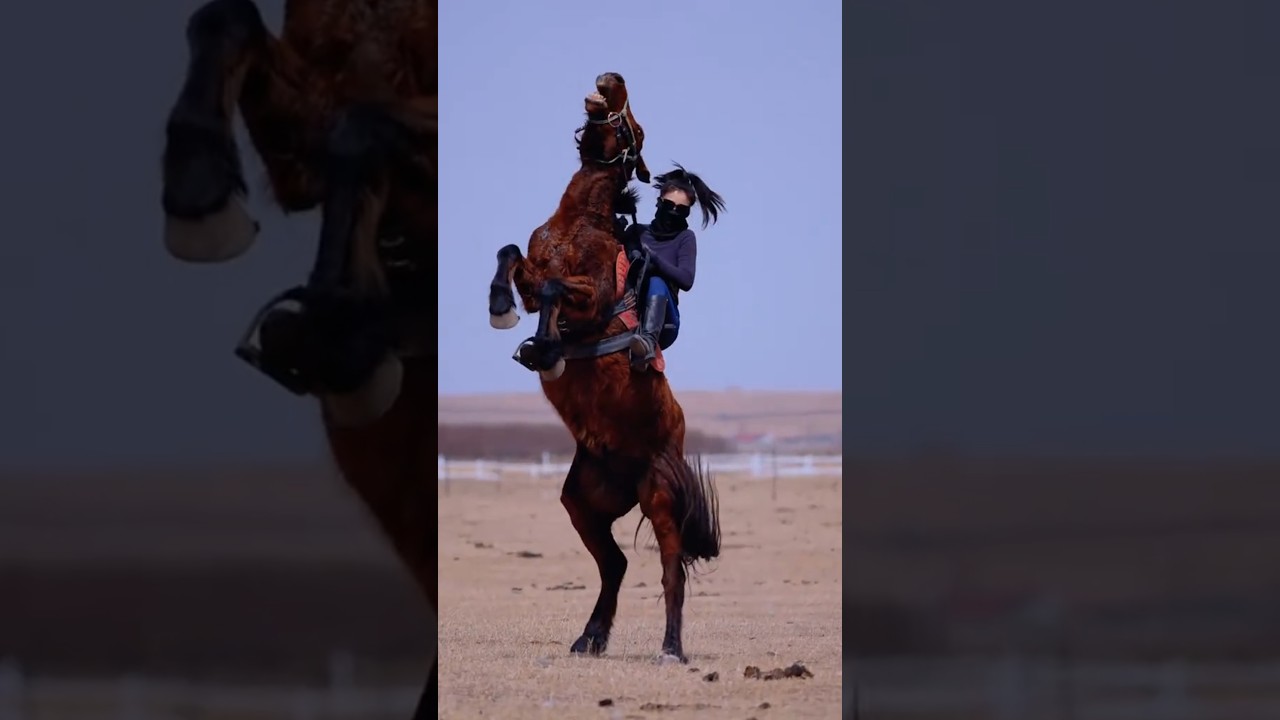 #horse #rekkkkkk #shayxrahmatullohtermiziy