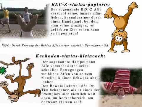 MOST vs Kevnox 16tel-Finale Hr Vbt 2008