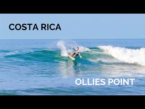 Nice swell at Ollie's Point