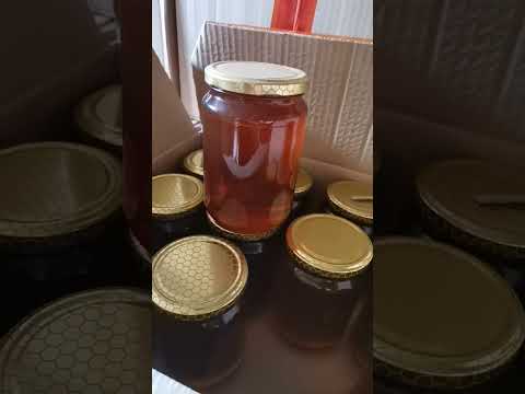 Pčele 07.10.MEDOVAČA, MED i domaća rakija LOZA!!!