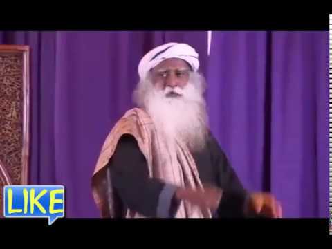 YouTube video about: How do dogs react when they see gods or goddesses?
