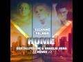Suzanne Palmer - Home (Beatallfusion & Braulio V SUPER Remix 2K16)