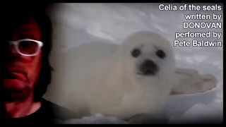 Celia of the seals.....