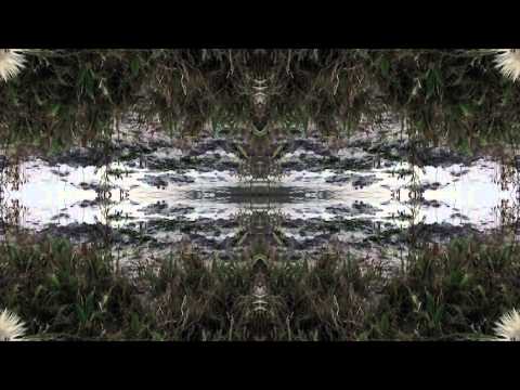 video frame placeholder