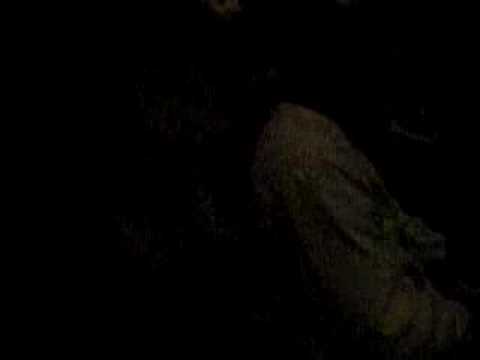 Habs Tying Goal Game 4 vs. Carolina April 28th 2006