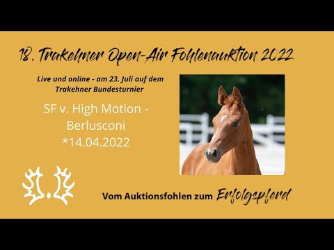 Kat.-Nr.12 SF v. High Motion - Berlusconi