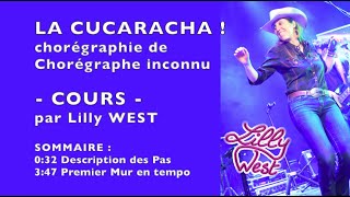 26/05/25 - Cucaracha