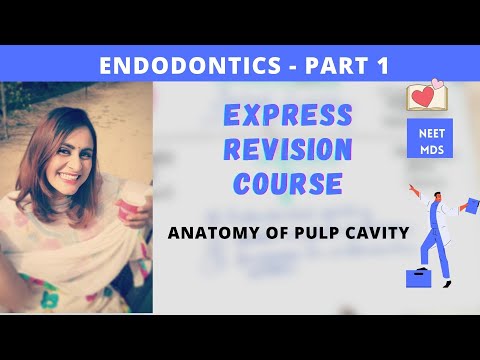 Endodontics - Root Canal Anatomy